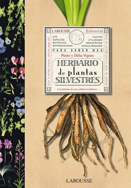 HERBARIO DE PLANTAS SILVESTRES | 9788480168762 | VIGNES, PIERRE / VIGNES, DELIA