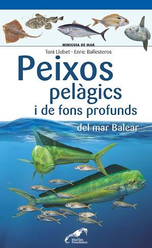 PEIXOS PELÀGICS I DE FONS PROFUNDS DEL MAR BALEAR | 9788490349397 | LLOBET FRANÇOIS, TONI / BALLESTEROS SAGARRA, ENRIC