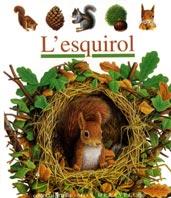 ESQUIROL, L' (MON MERAVELLOS) | 9788482865836 | HUGO, PIERRE DE