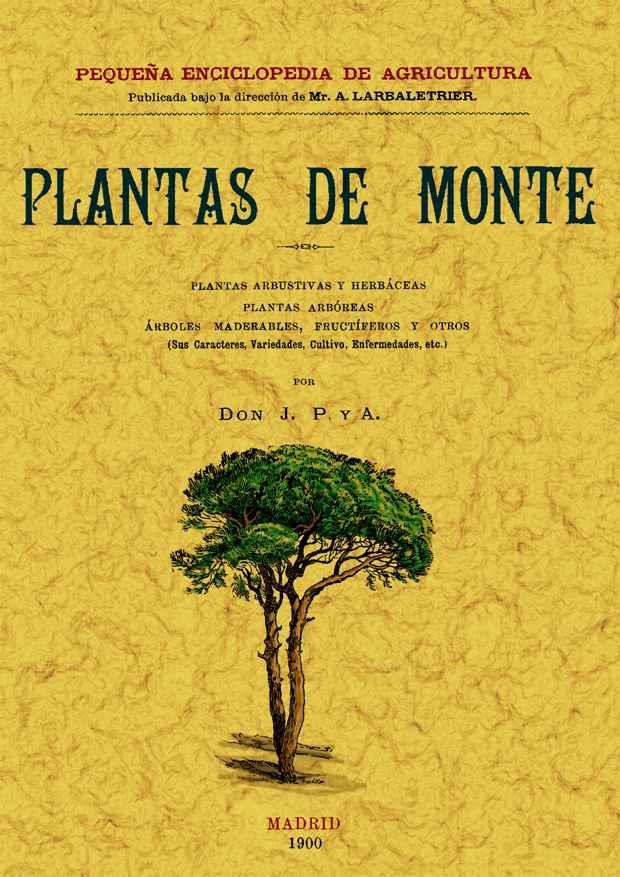 PLANTAS DE MONTE | 9788497614054 | P. Y A., J.