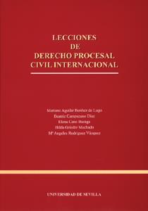 LECCIONES DE DERECHO PROCESAL CIVIL INTERNACIONAL | 9788447207527 | BENITEZ DE LUGO, MARIANO AGUILAR