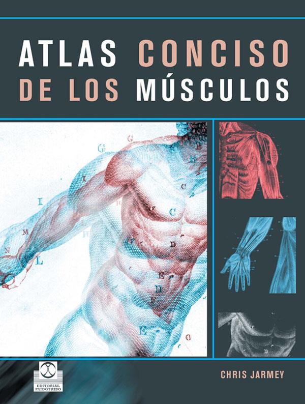 ATLAS CONCISO DE LOS MÚSCULOS (COLOR) | 9788480199384 | JARMEY, CHRIS