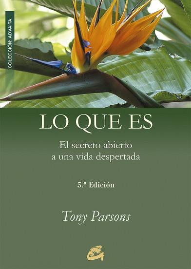 LO QUE ES | 9788484450641 | PARSONS, TONY