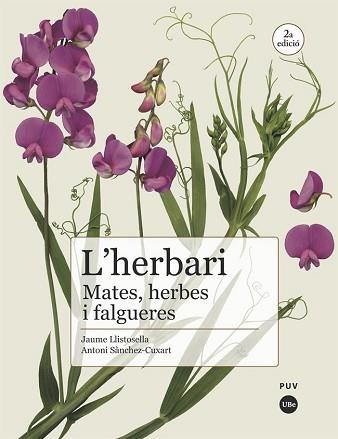 HERBARI: MATES, HERBES I FALGUERES | 9788491682981 | SÀNCHEZ CUXART, ANTONI / LLISTOSELLA VIDAL, JAUME