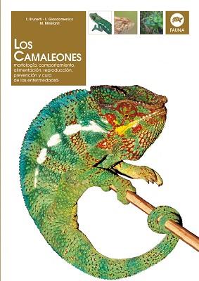 CAMALEONES, LOS  (FAUNA DVE) | 9788431529451 | BRUNETTI, L.; GIANDOMENICO, L.