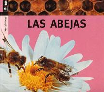 ABEJAS, LAS (DESCUBRIMOS) | 9788424607821 | ARANEGA, SUSANNA