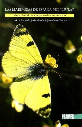 MARIPOSAS DE ESPAÑA PENINSULAR LAS DIURNAS NOCTURNAS | 9788483213186 | REDONDO VEINTEMILLAS, VÍCTOR / GASTÓN ORTIZ, FRANCISCO JAVIER / VICENTE ARRANZ, JUAN CARLOS