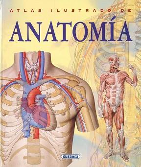 ATLAS ILUSTRADO DE ANATOMIA | 9788430534784 | RIGUTTI, ADRIANA; ORTIZ, ISABEL