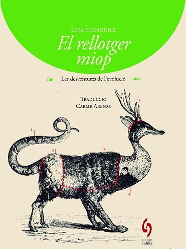 EL RELLOTGEER MIOP | 9788494256424 | SIGNORILE, LISA