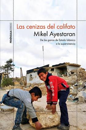 LAS CENIZAS DEL CALIFATO | 9788499427065 | AYESTARAN, MIKEL