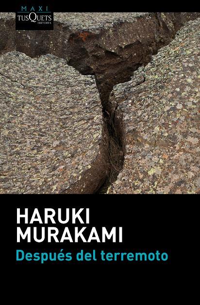 DESPUÉS DEL TERREMOTO | 9788483838891 | HARUKI MURAKAMI