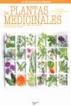 PLANTAS MEDICINALES LAS | 9788431539375 | CECCHINI, T. / TICLI, B.