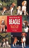 MANUAL PRACTICO DEL BEAGLE | 9788425511851 | VALLILA, ANDREW