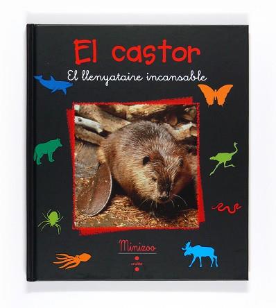 CASTOR EL ( EL LLENYATAIRE INCANSABLE ) | 9788466124232 | TRACQUI, VALERIE