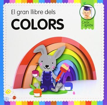 EL GRAN LLIBRE DELS COLORS | 9788492882922 | A.A.V.V.