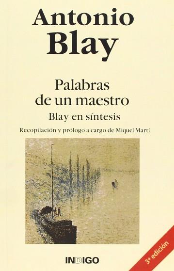 PALABRAS DE UN MAESTRO | 9788486668211 | BLAY FONTCUBERTA, ANTONIO