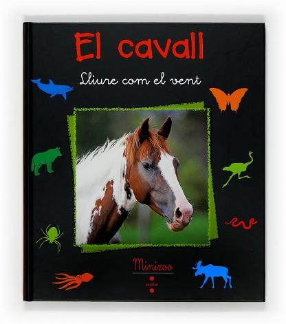 CAVALL EL ( LLIURE COM EL VENT ) | 9788466120043 | TRACQUI, VALERIE / DELABORDE, GILLES ( FOTOS )