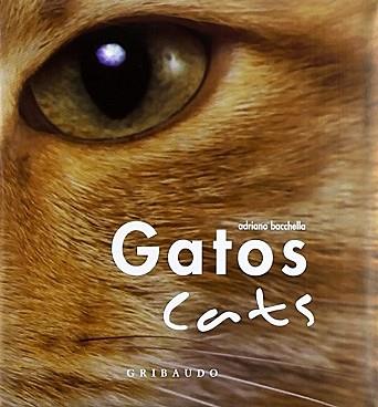 GATOS CUBO | 9788880588146 | BACCHELLA, ADRIANO