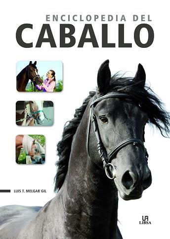 ENCICLOPEDIA DEL CABALLO | 9788466237918 | MELGAR GIL, LUIS TOMÁS / EQUIPO EDITORIAL