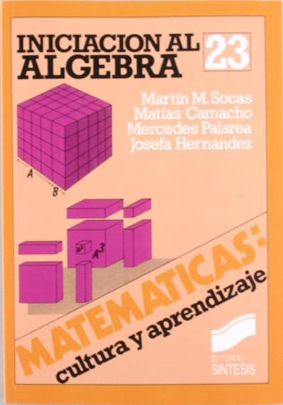 INICIACION AL ALGEBRA | 9788477380689 | MARTIN SOCAS, MANUEL