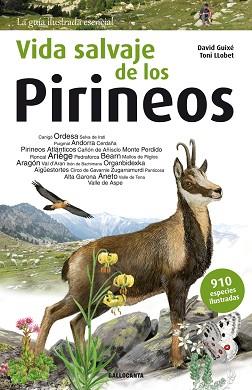 VIDA SALVAJE DE LOS PIRINEOS | 9788415885542 | GUIXÉ COROMINES, DAVID