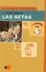 GRAN LIBRO DE LAS SETAS, EL | 9788408027478 | BIELLI, ETTORE