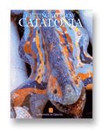 GETTING TO KNOW CATALONIA | 9788439338543 | PUIGJANER, JOSEP MARIA