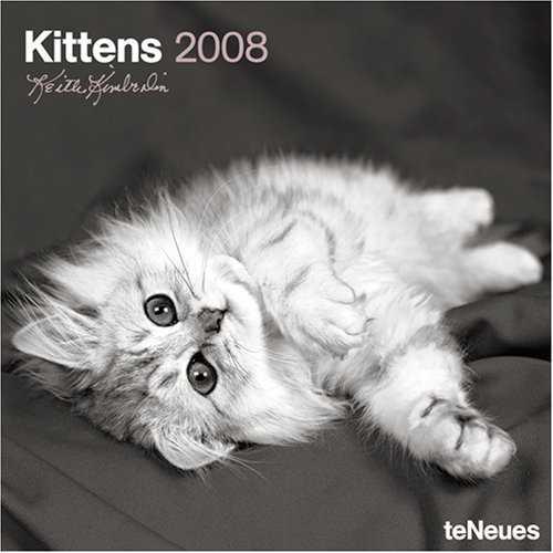 CALENDARI 2008 KITTENS GRID | 9783832722838 | VARIOS