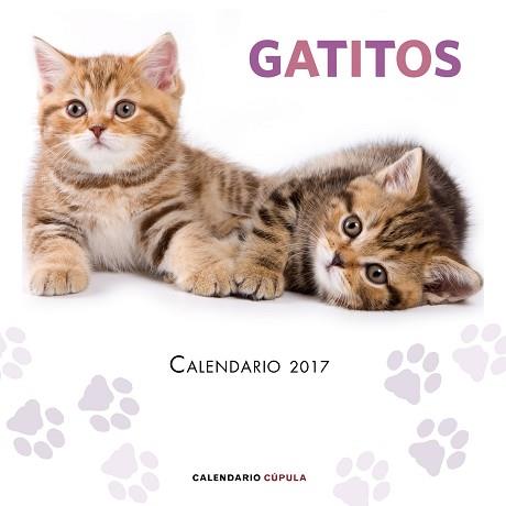 CALENDARIO GATITOS 2017 | 9788448022594 | AA. VV.