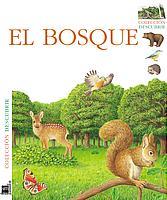 BOSQUE, EL (DESCUBRIR) | 9788434885196 | HUGO, PIERRE DE