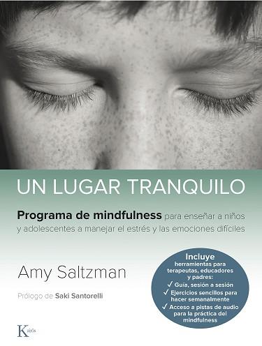 UN LUGAR TRANQUILO | 9788499887562 | SALTZMAN, AMY