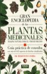 GRAN ENCICLOPEDIA DE LAS PLANTAS MEDICINALES ( REF.910 ) | 9788430584963 | BERDONCES I SERRA, DR.