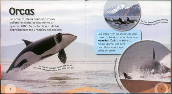 ORCA I ALTRES CRIATURES D'AIGU | 9788499132693 | TODOLIBRO, EQUIPO