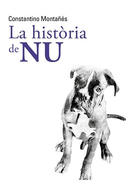 LA HISTÒRIA DE NU | 9788413031996 | MONTAÑÉS NÚÑEZ, CONSTANTINO