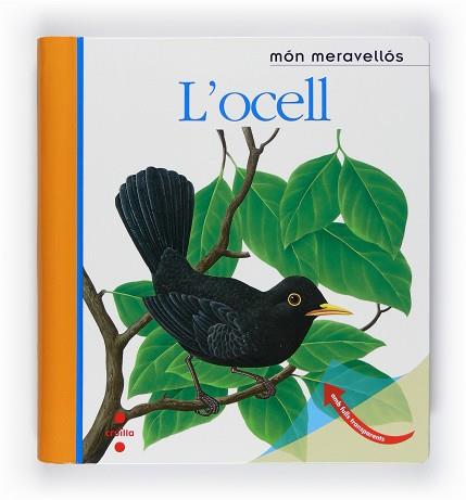 OCELL L' | 9788466125161 | DELAFOSSE, CLAUDE / METTLER, RENÉ / GALLIMARD JEUNESSE, ÉDITIONS