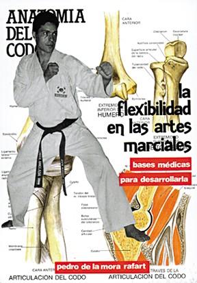 FLEXIBILIDAD EN LAS ARTES MARCIALES, LA | 9788420302324 | MORA RAFART, PEDRO DE LA