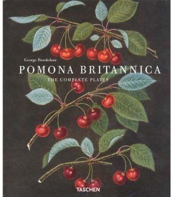 POMONA BRITANNICA (INT) | 9783822814635 | BROOKSHAW, GEORGE