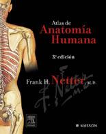 ATLAS DE ANATOMIA HUMANA (3 ED.2003) | 9788445812976 | NETTER, FRANK H.