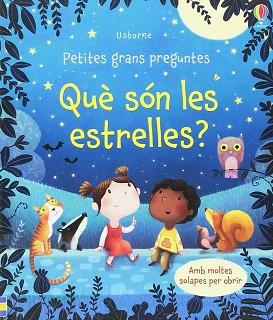 QUE SON LES ESTRELLES | 9781474946841 | DAYNES KATIE