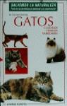 GATOS CUIDADOS CRIANZA VARIEDADES | 9788425509735 | SCHRODY, M. FARNHAM