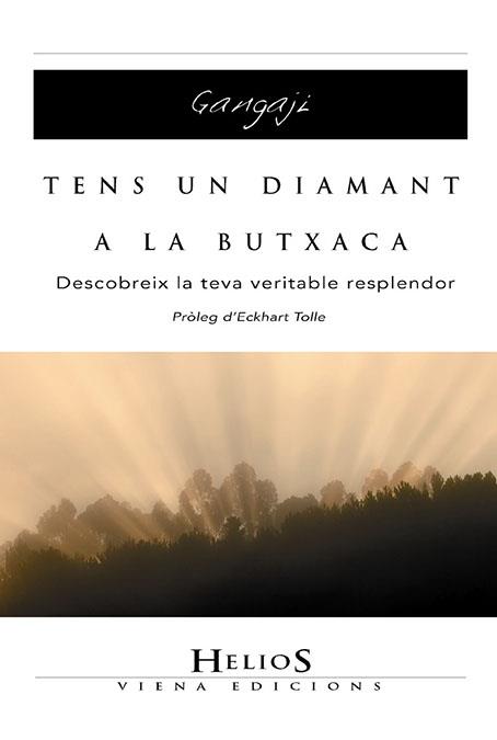 TENS UN DIAMANT A LA BUTXACA | 9788483304525 | GANGAJI