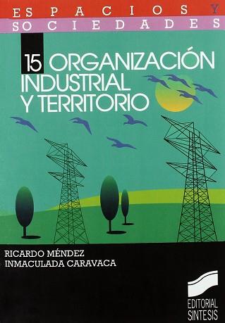 ORGANIZACION INDUSTRIAL Y TERRITORIO | 9788477384304 | MENDEZ, RICARDO