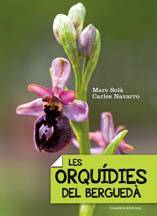 LES ORQUÍDIES DEL BERGUEDÀ | 9788490343289 | SOLÀ, MARC/NAVARRO, CARLES