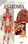 ANATOMIA ATLAS VISUALES OCEANO | 9788449412776 | VARIS