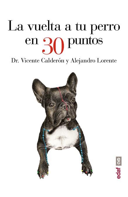 LA VUELTA A TU PERRO EN 30 PUNTOS | 9788441435483 | CALDERÓN, DR. VICENTE / LORENTE, ALEJANDRO