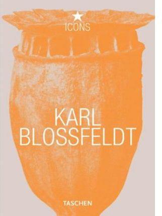 KARL BLOSSFELDT ICONS | 9783822813287 | ADAM, HANS CHRISTIAN