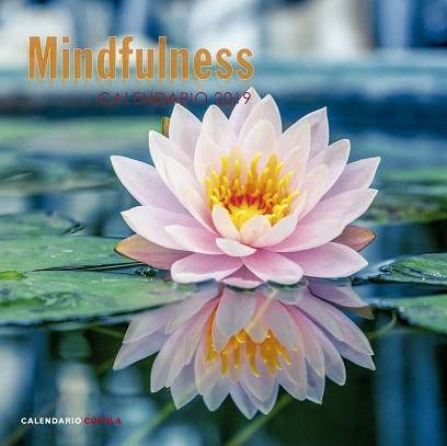 CALENDARIO MINDFULNESS 2019 | 9788448024598 | AA. VV.