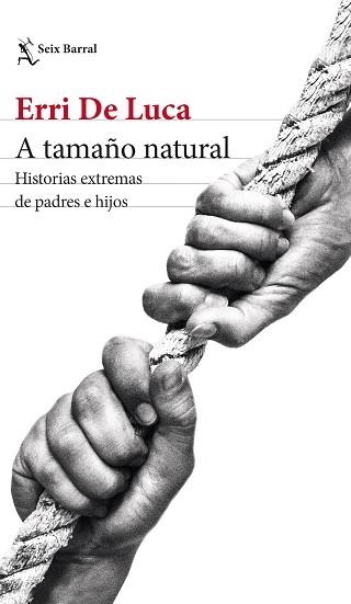 TAMAÑO NATURAL A | 9788432241192 | DE LUCA, ERRI