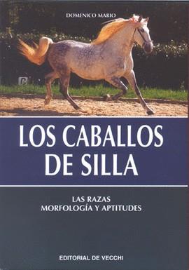 CABALLOS DE SILLA, LOS | 9788431527600 | MARIO, DOMENICO