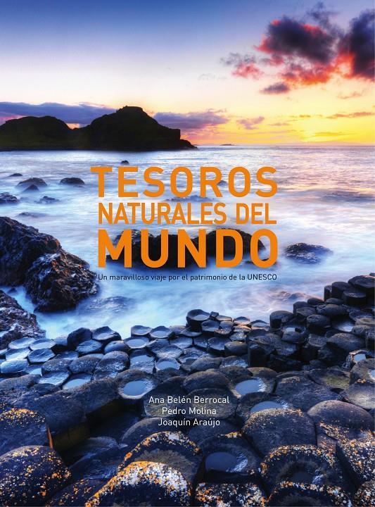 TESOROS NATURALES DEL MUNDO | 9788497859868 | JOAQUÍN ARAÚJO/PEDRO MOLINA HOLGADO/ANA BELÉN BERROCAL MENÁRGUEZ